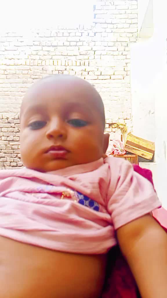 @shakeelrahmani535