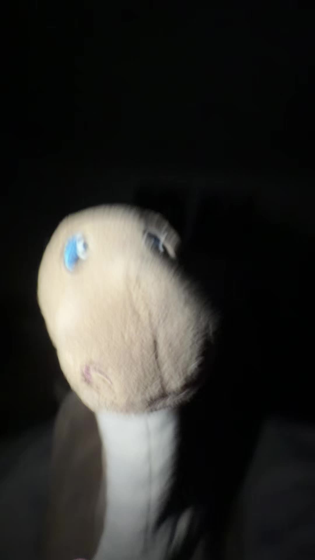 @Dinolino🦕