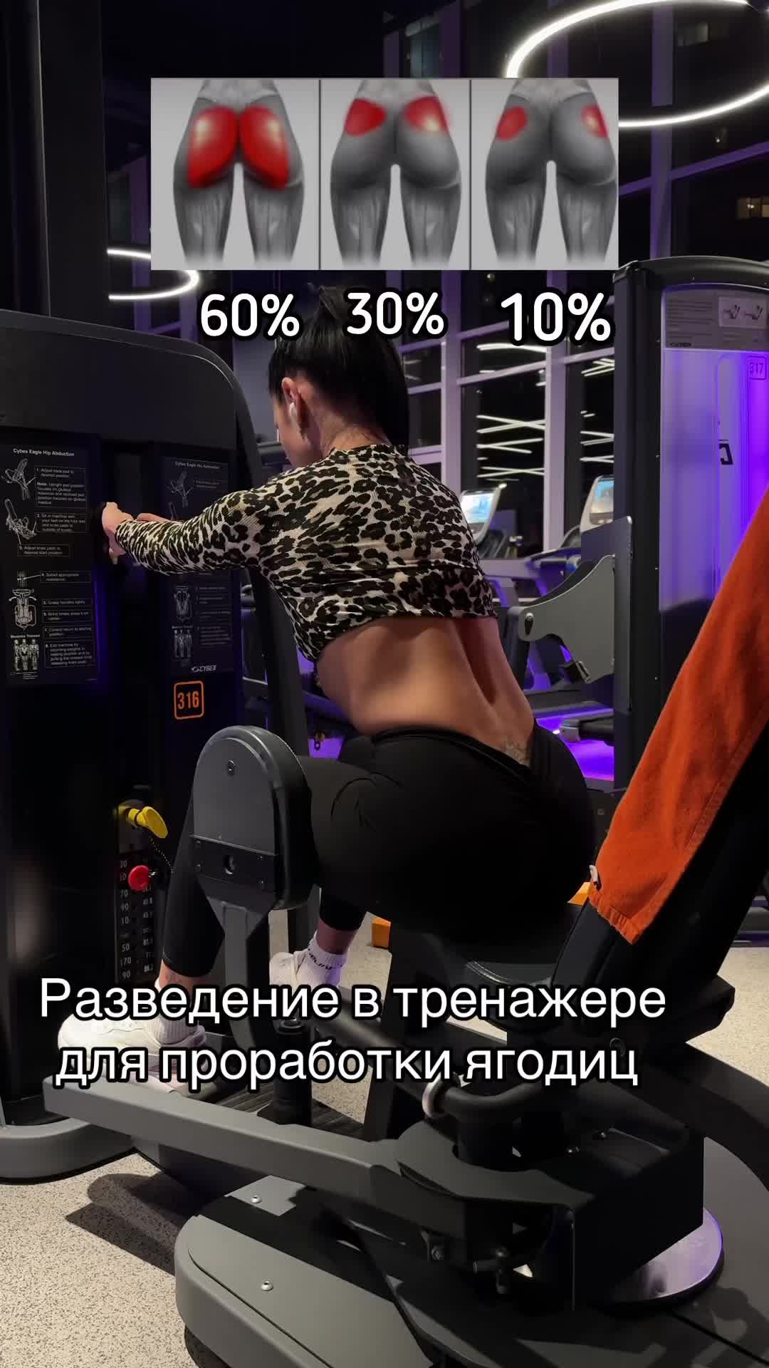 @darinasport3