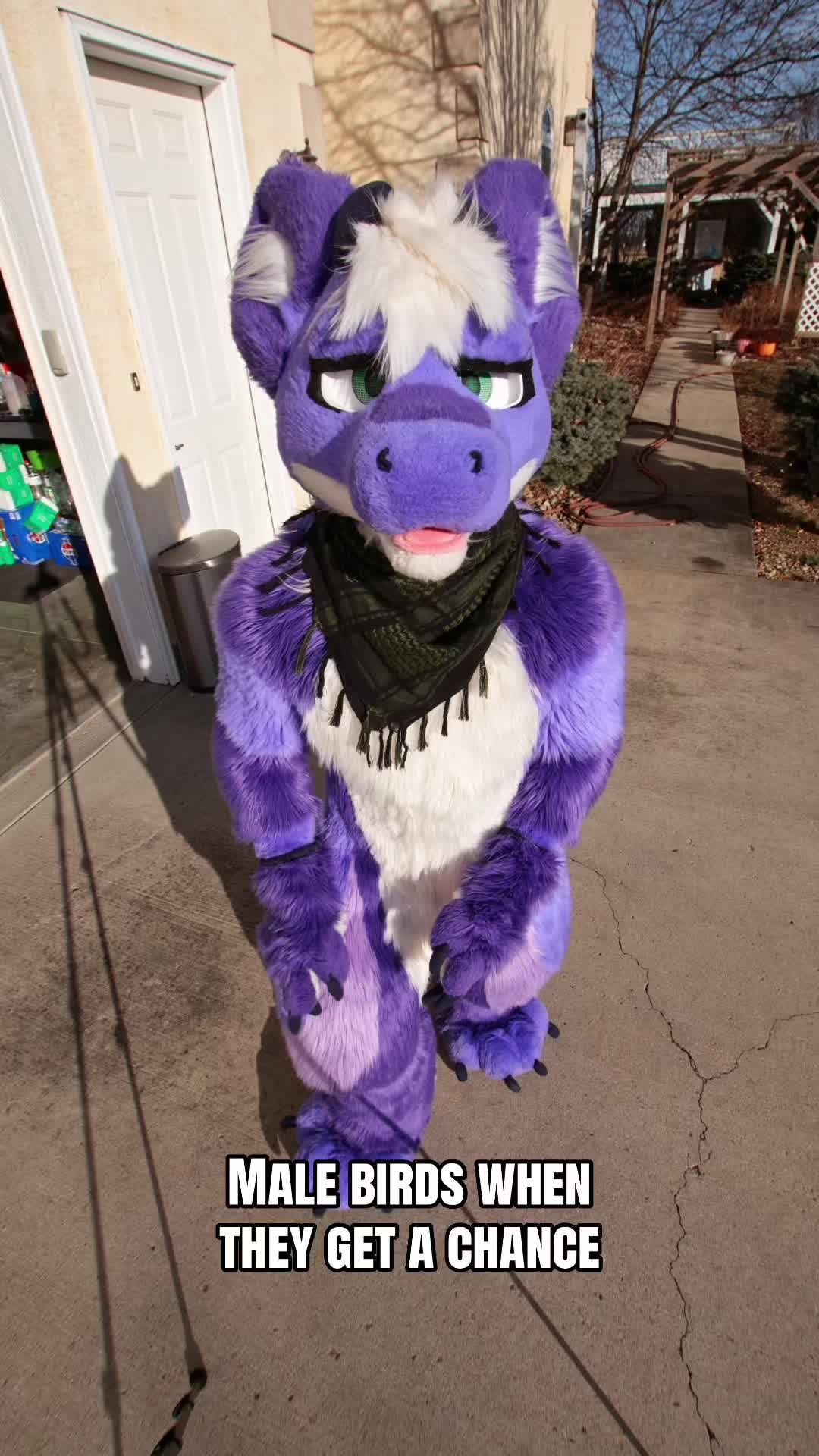 @Purple Dreg 🔜 AO