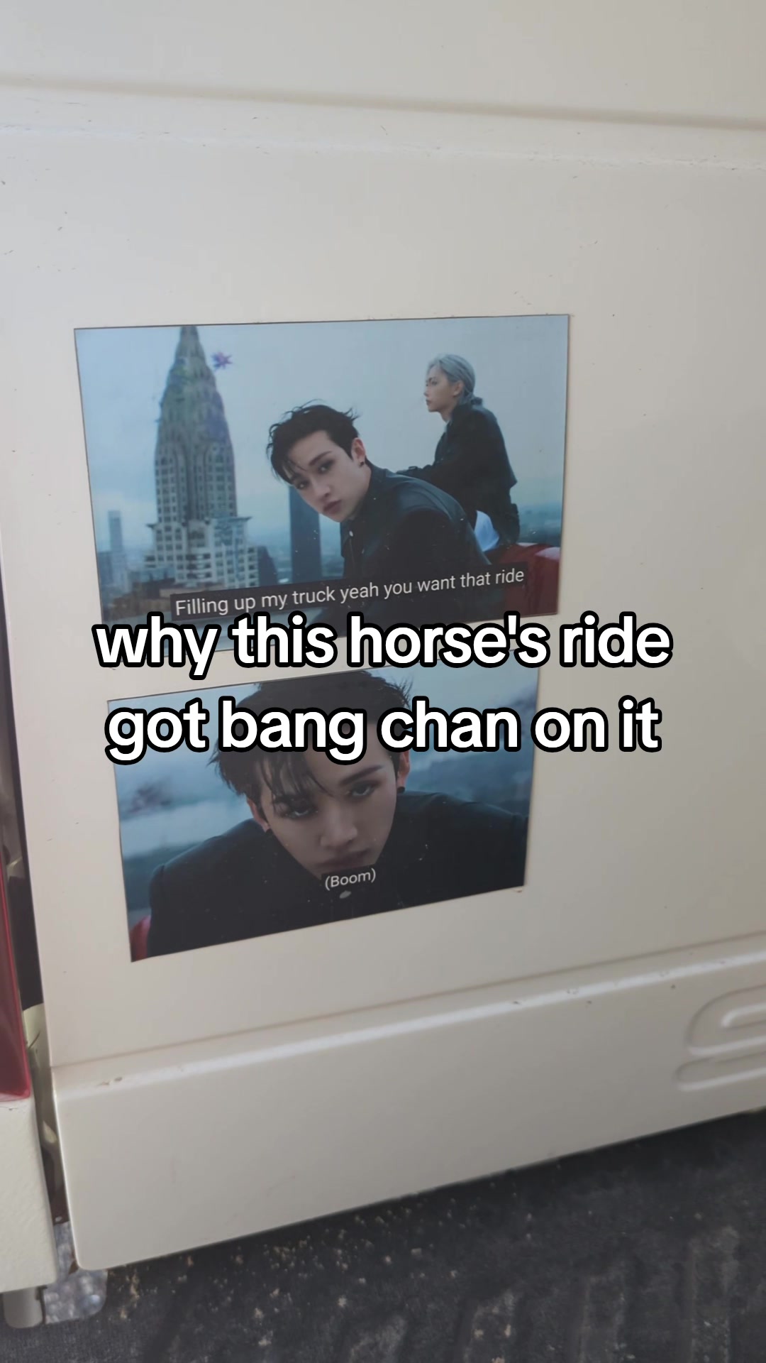 @boraNEIGH