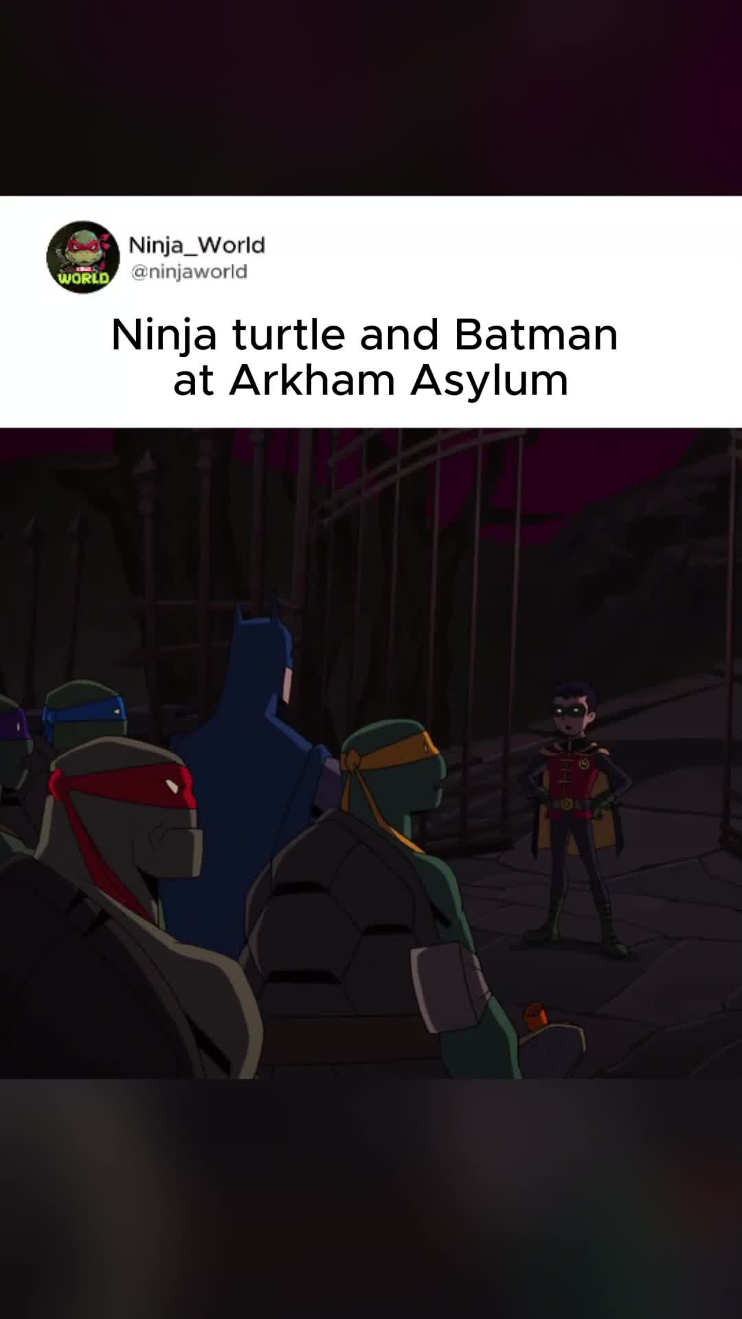 @ninjaworld_4