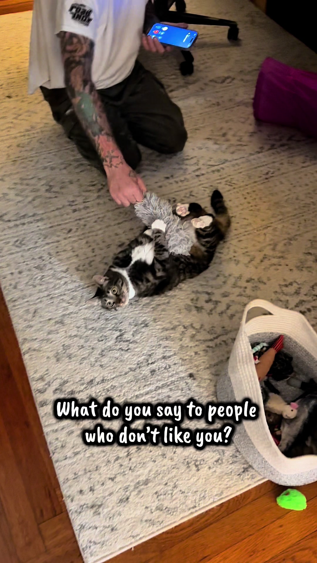 @TailsandWhiskersCo