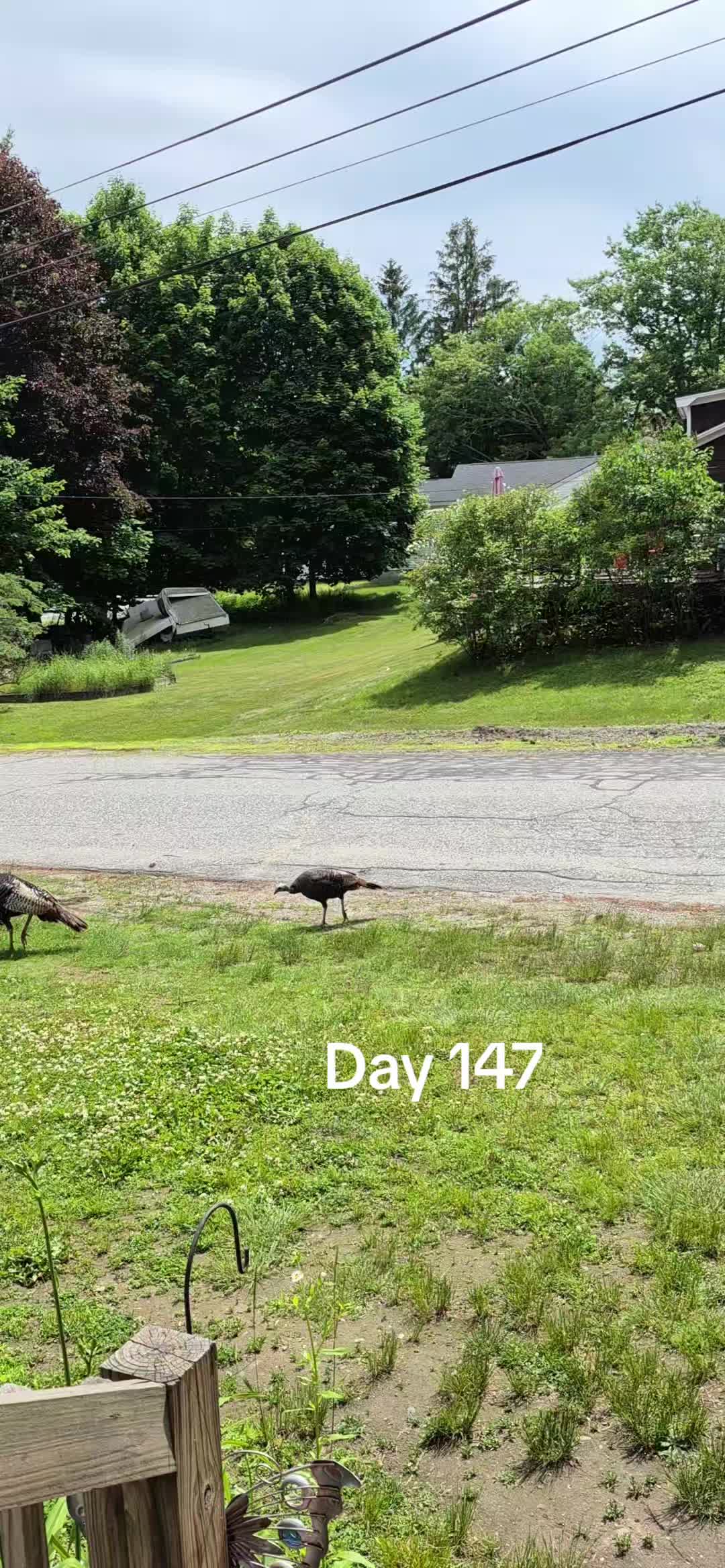 @EveninAcadia