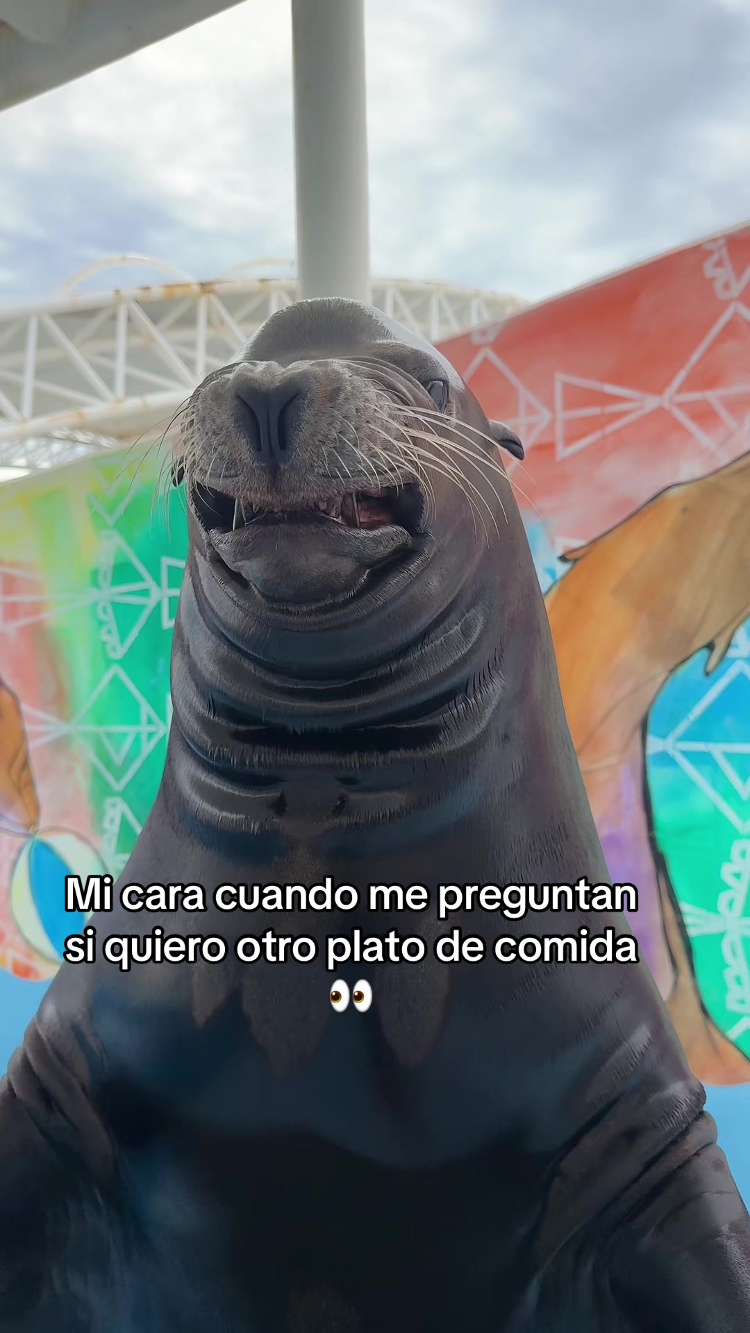 @Juan Anaya Trainer 🐬🦭