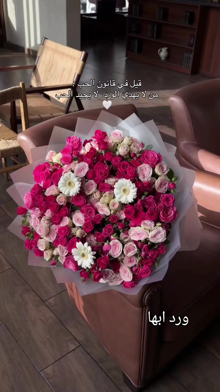 @مندوب ابها