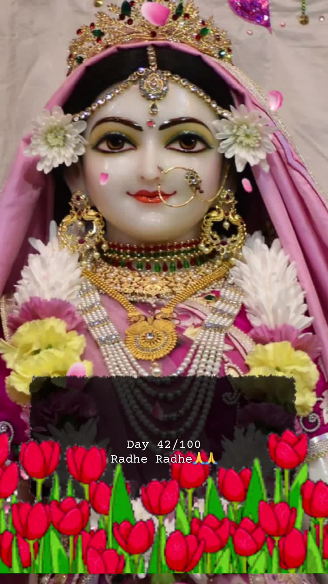 @RadheKrishna🦚🦚🙏🙏