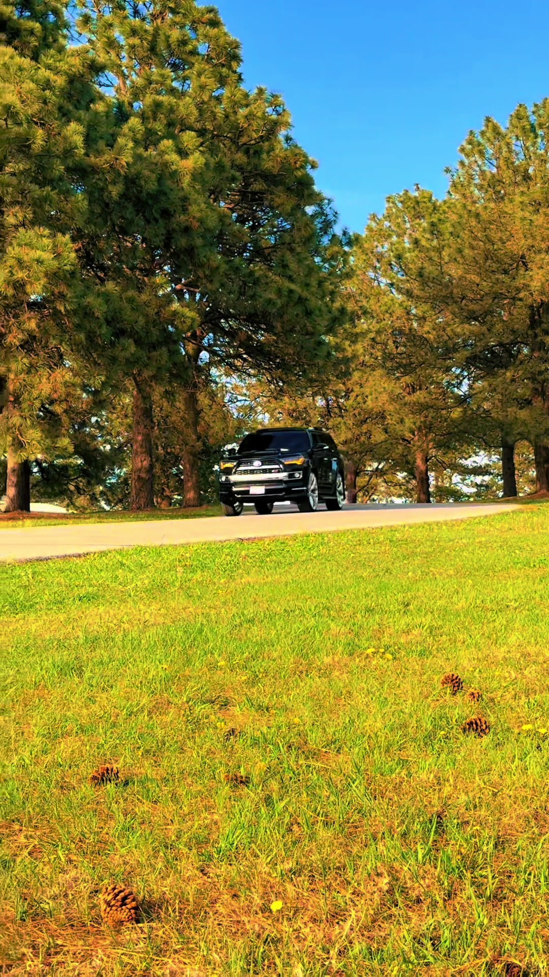 @4runner limited