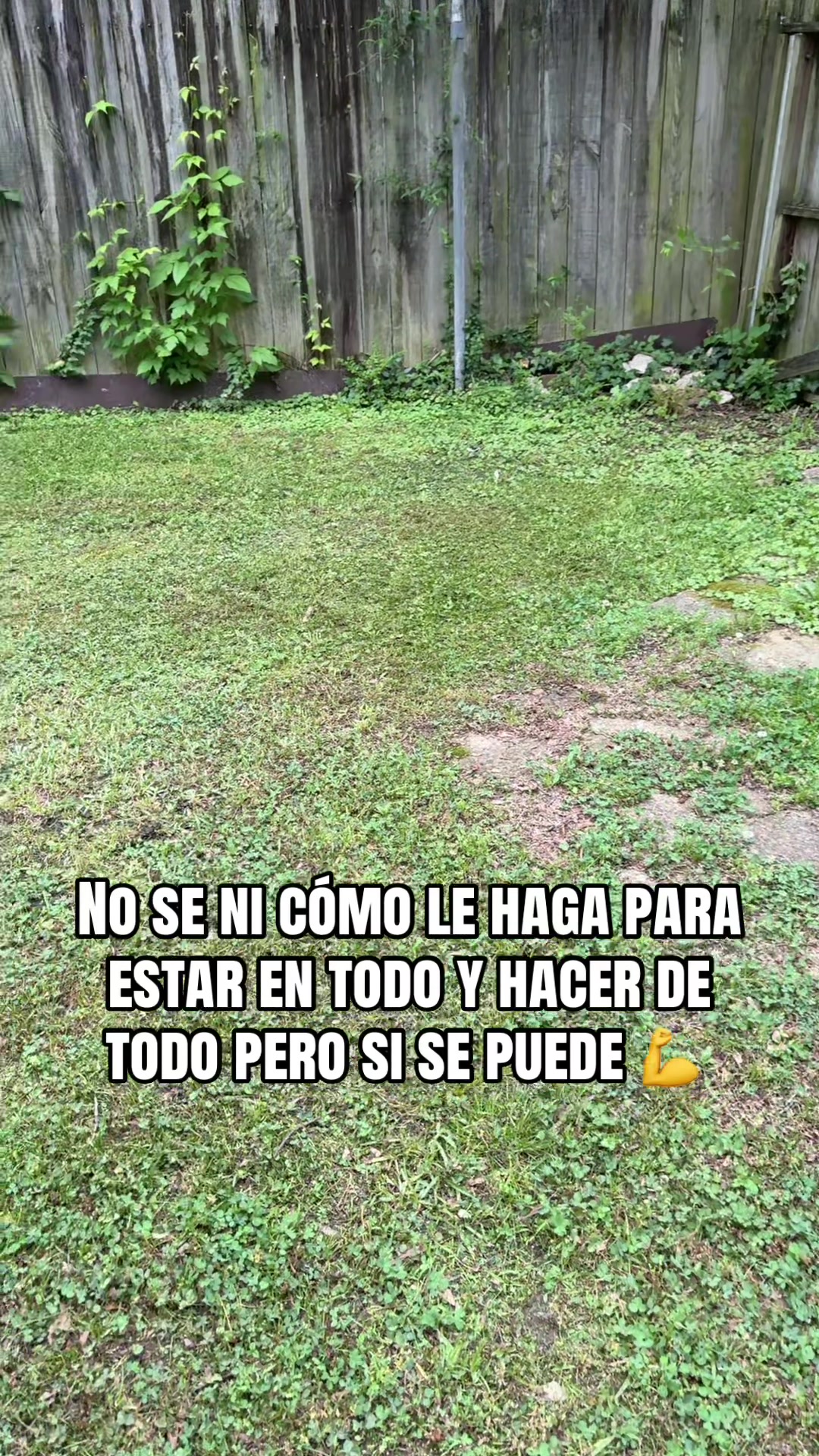 @lilylopez67