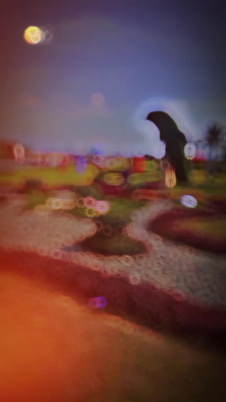 @سبحان راجپوت 🦅