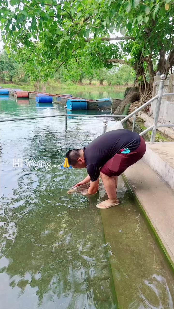 @Ho&agrave;ng Nam