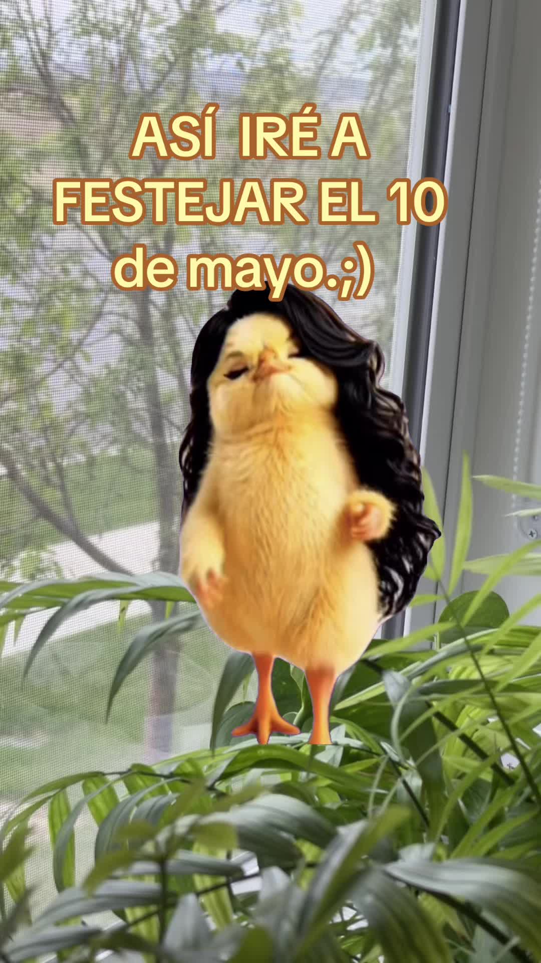 @MARYAMC21🌸💖