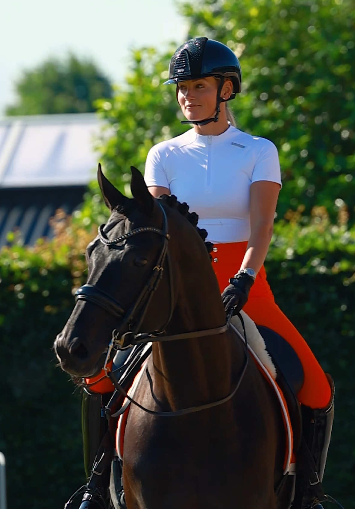 @Maximilian Equestrian