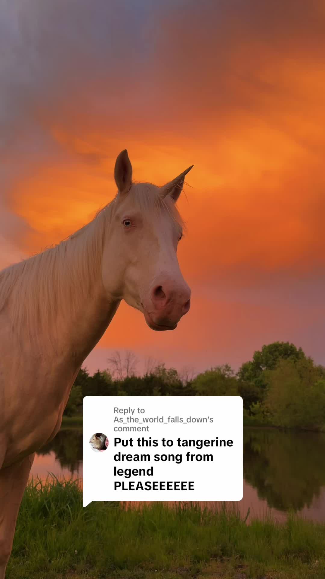 @Courtney 🦄