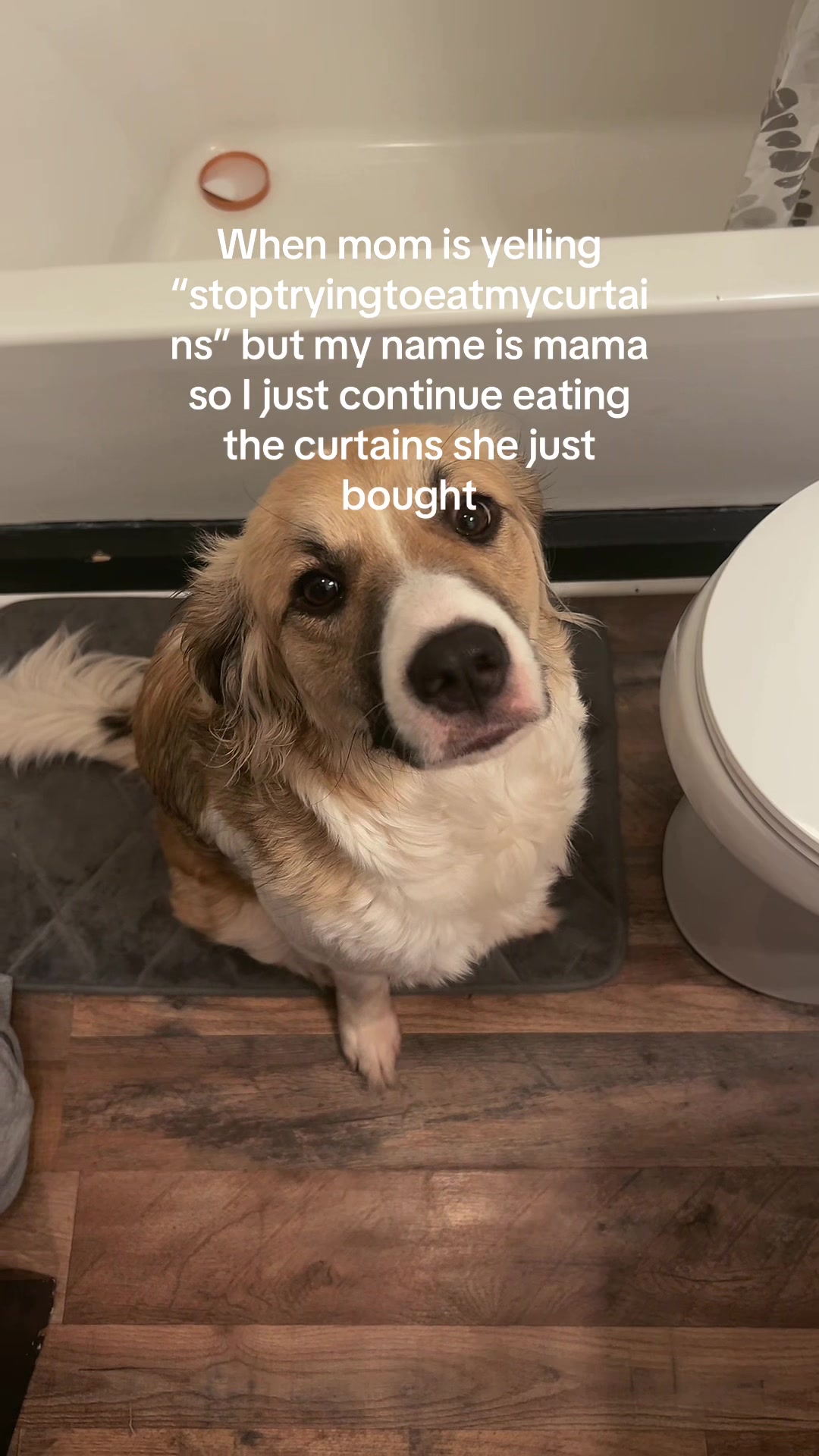 @ilovealuminum