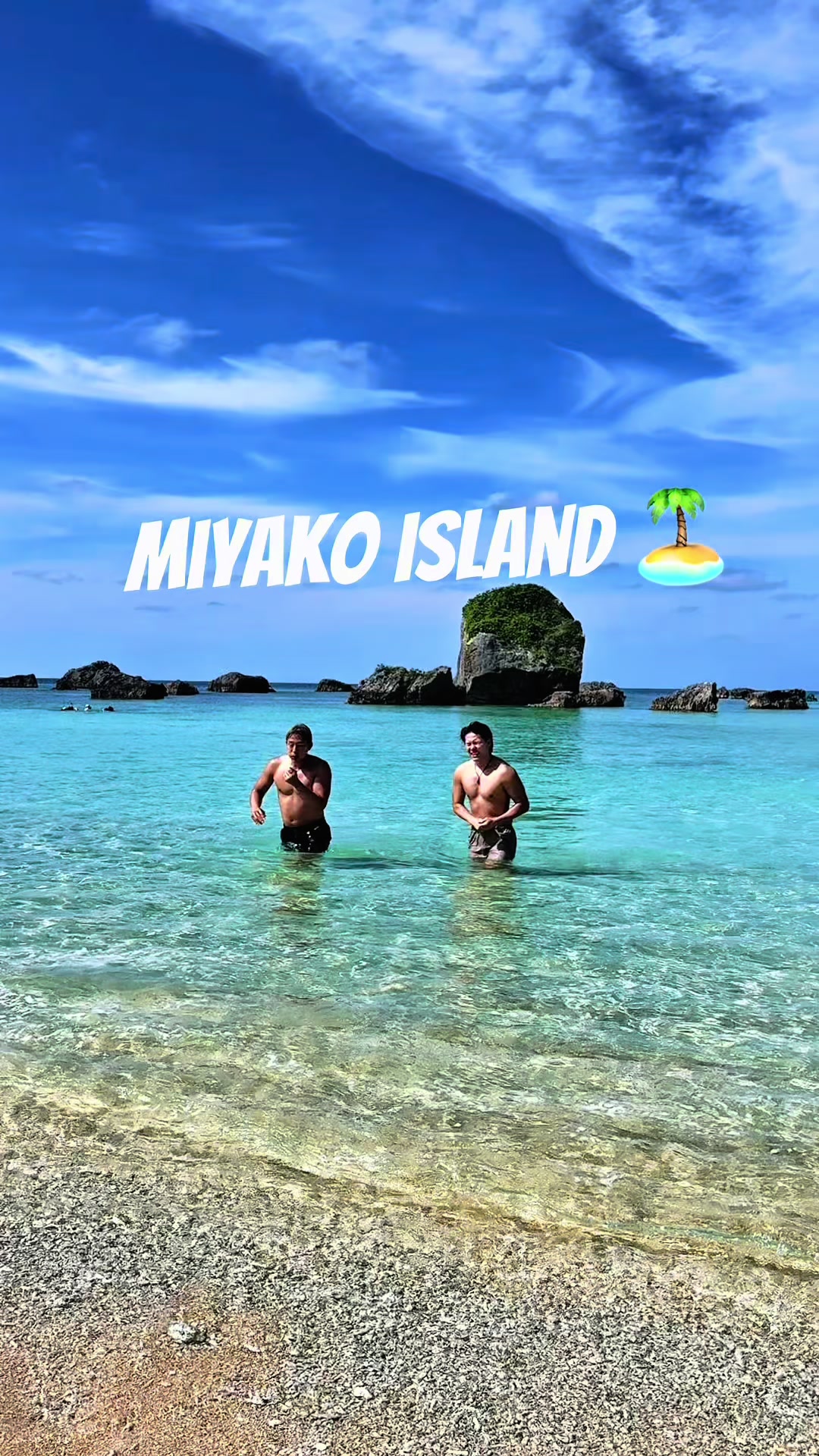 @🇳🇿もぐしゅん🍖🐘