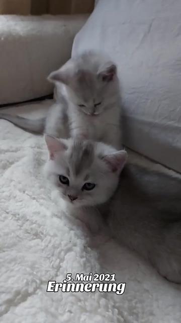 @Tatjana