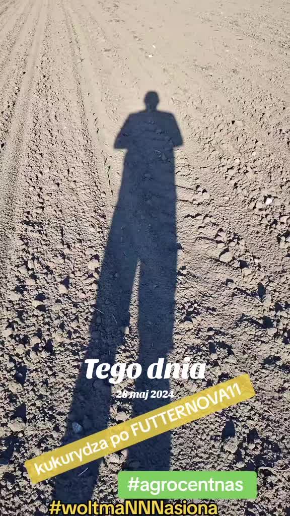@WOLTMANNNASIONA