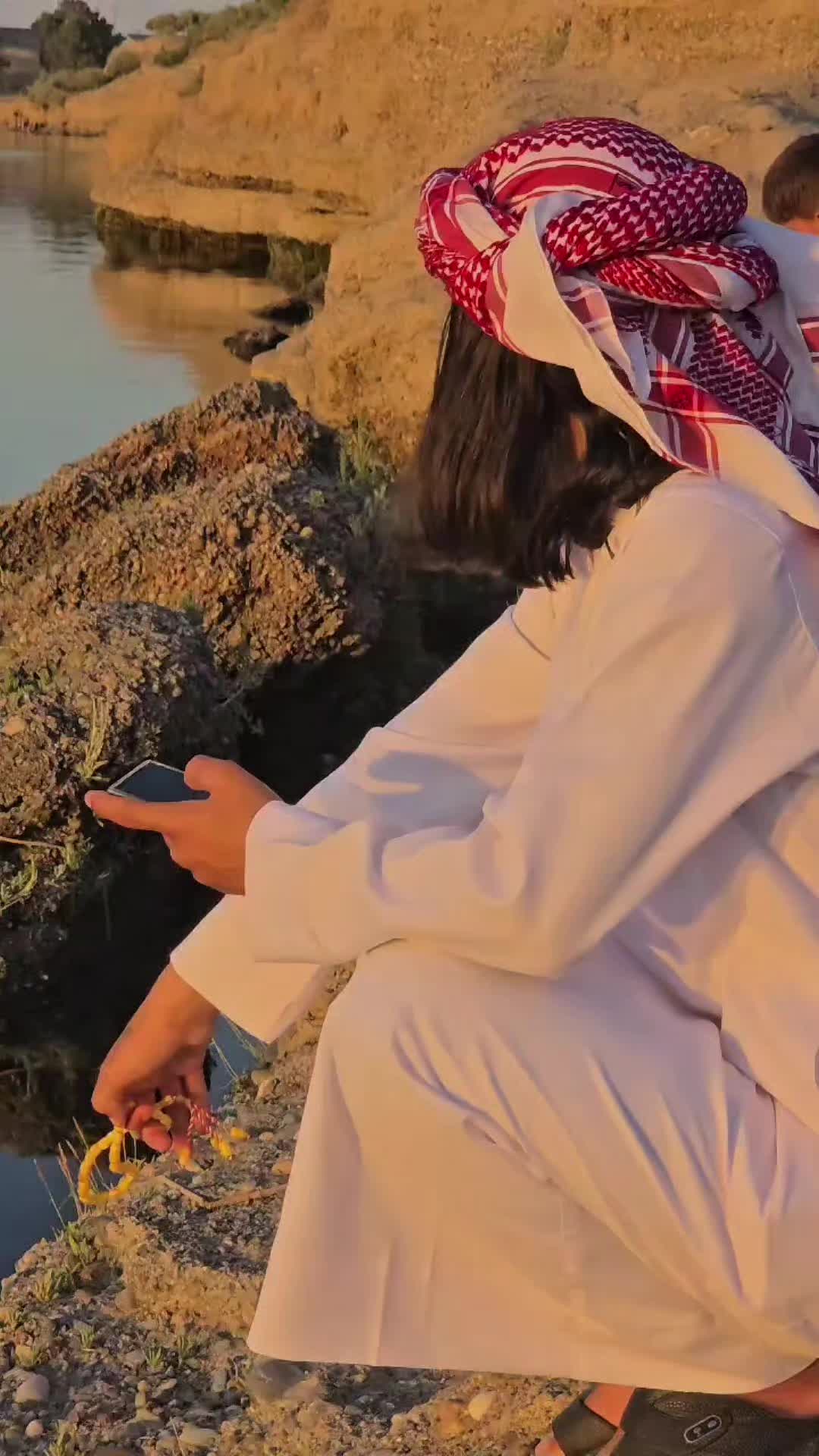 @أبو سعود 🇸🇾