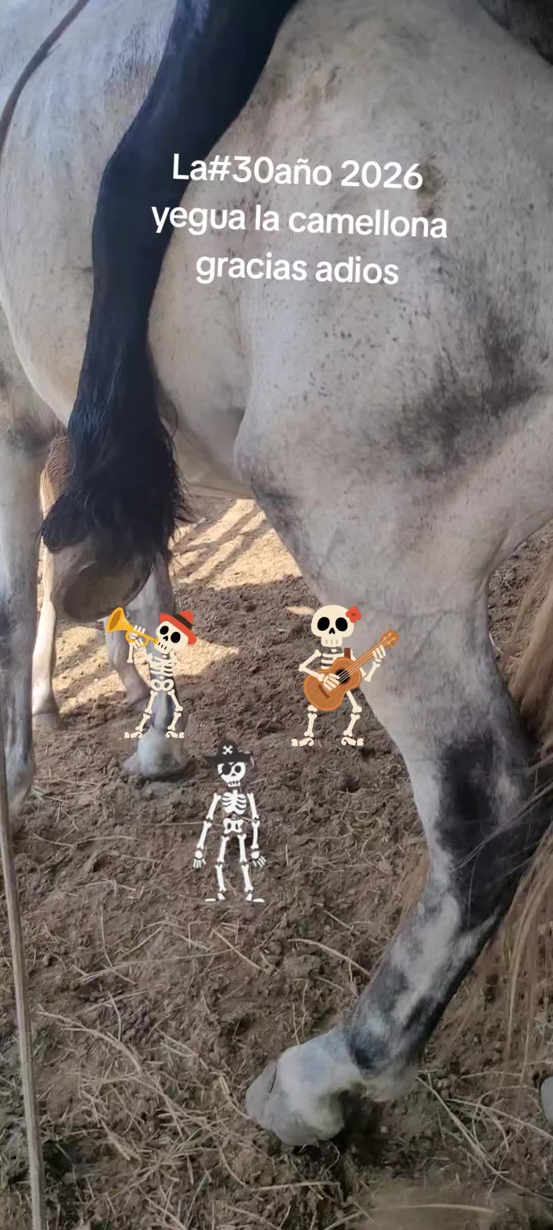 @RANCHOROSAS