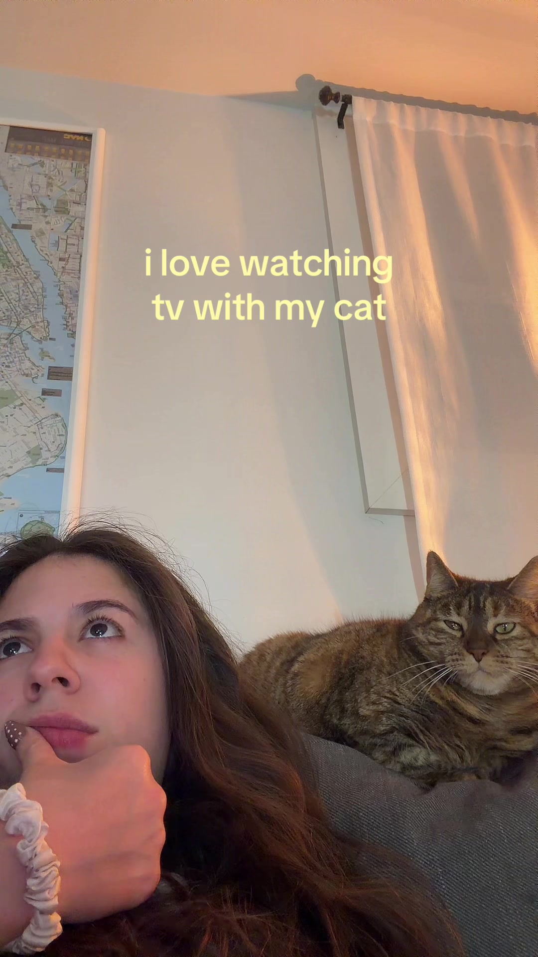 @amaris