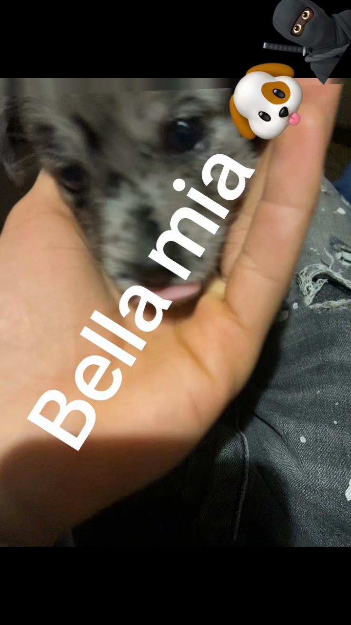 @999🤞🏽🇹🇳🇮🇹