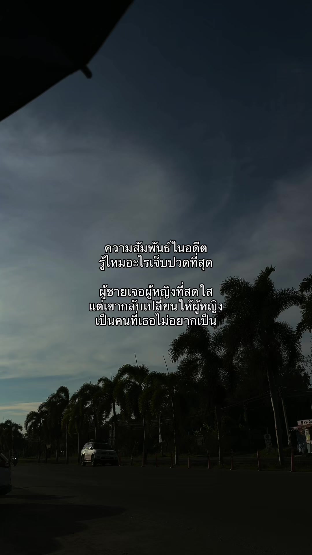 @⋆. 𐙚 ˚