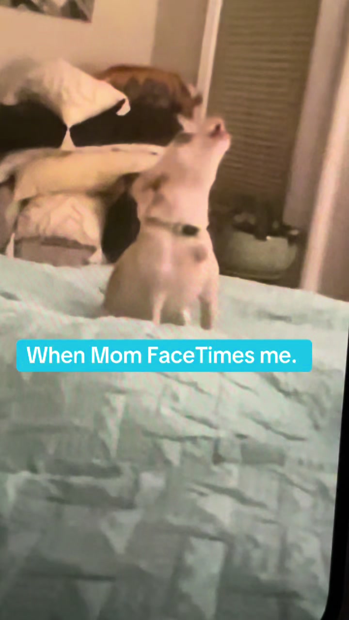 @#queenbee
