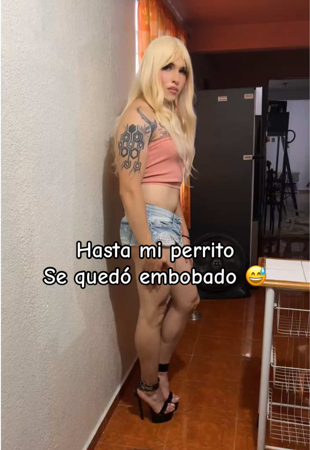 @Angyheels
