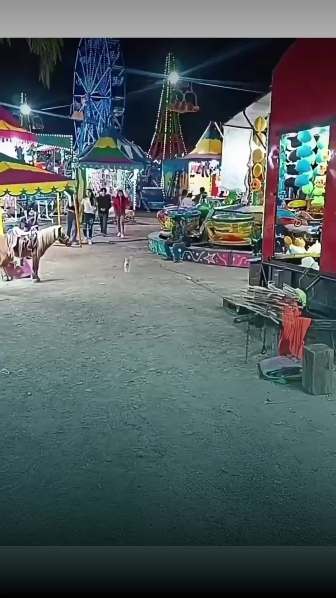 @Entre l&iacute;neas