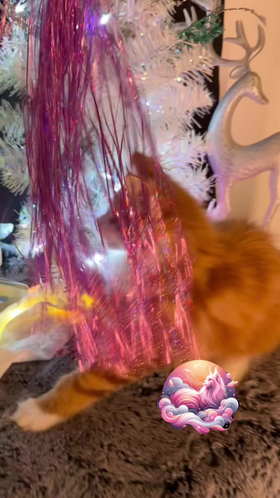 @✨Kristin @ de Empurr&rsquo;Dune 🐾✨