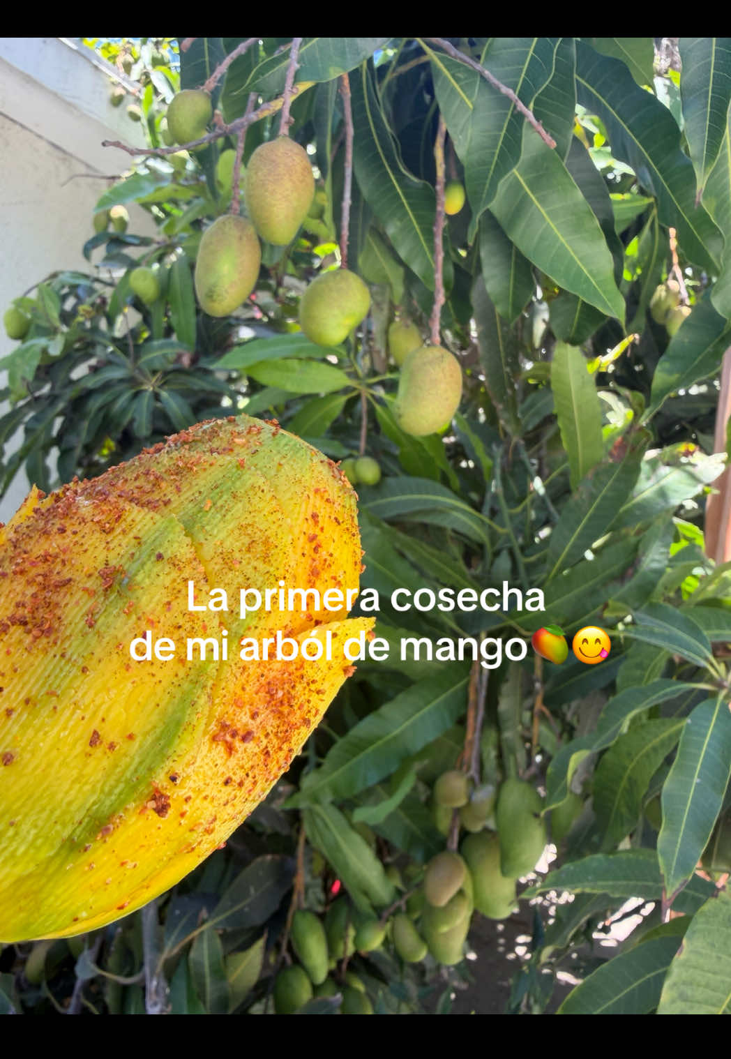 @Yuri Alvarado