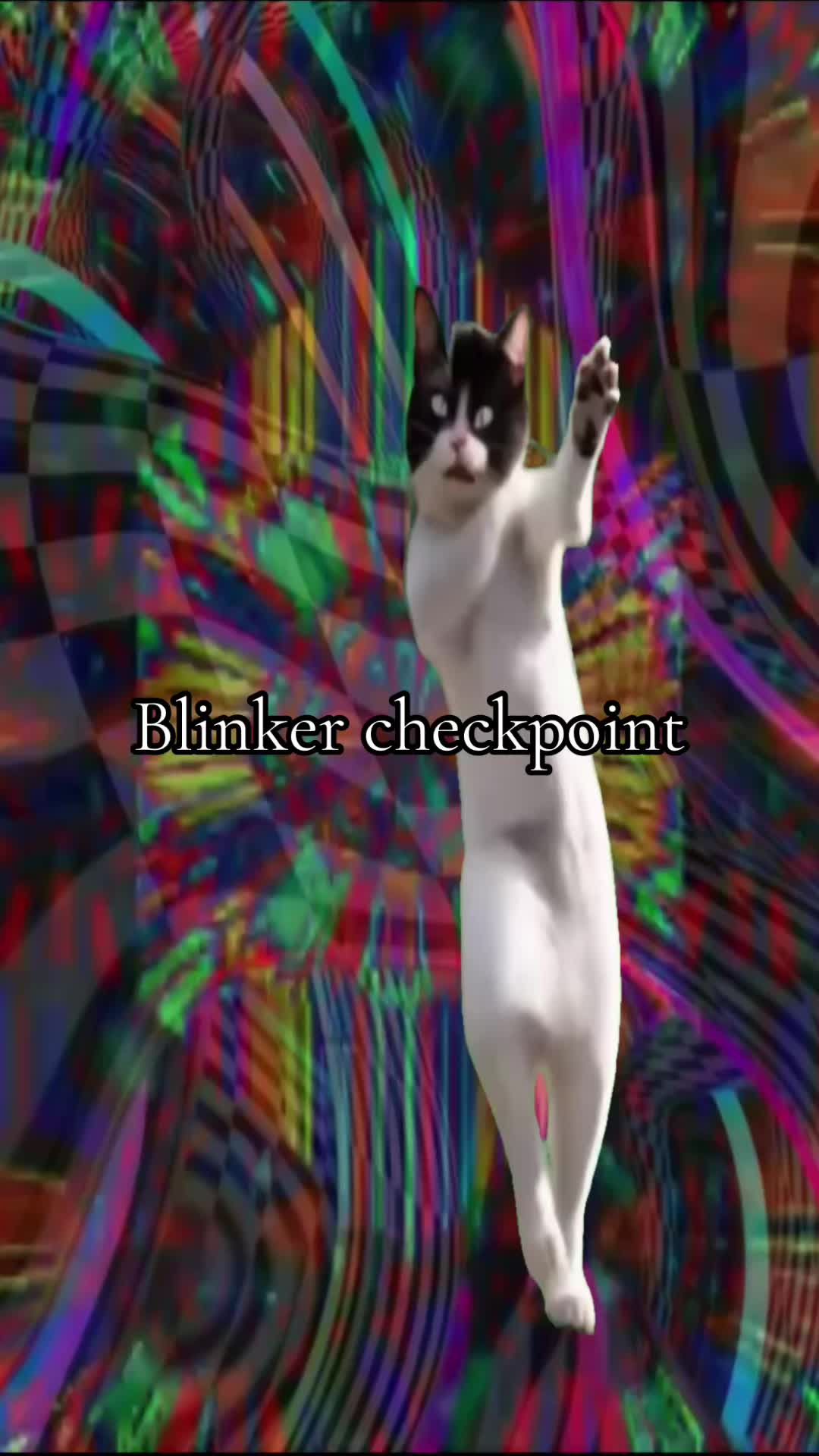 @cattrip