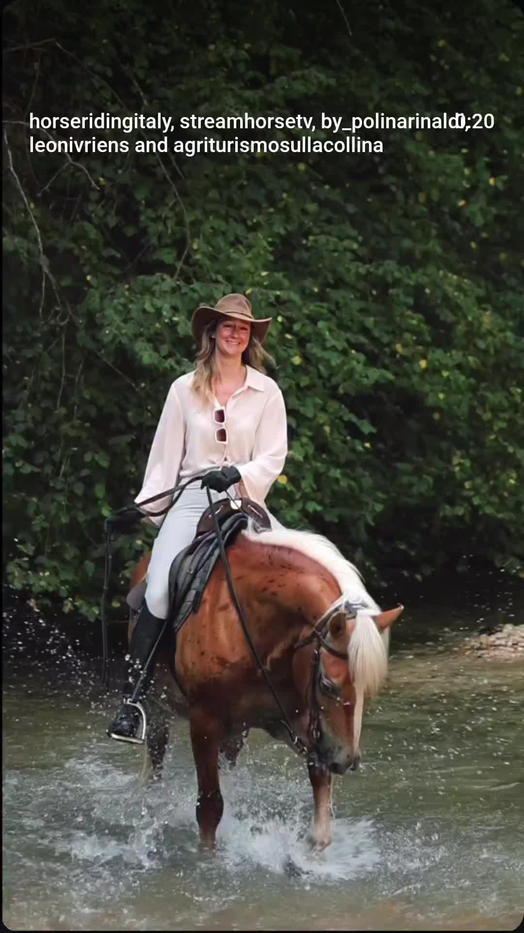 @streamhorse