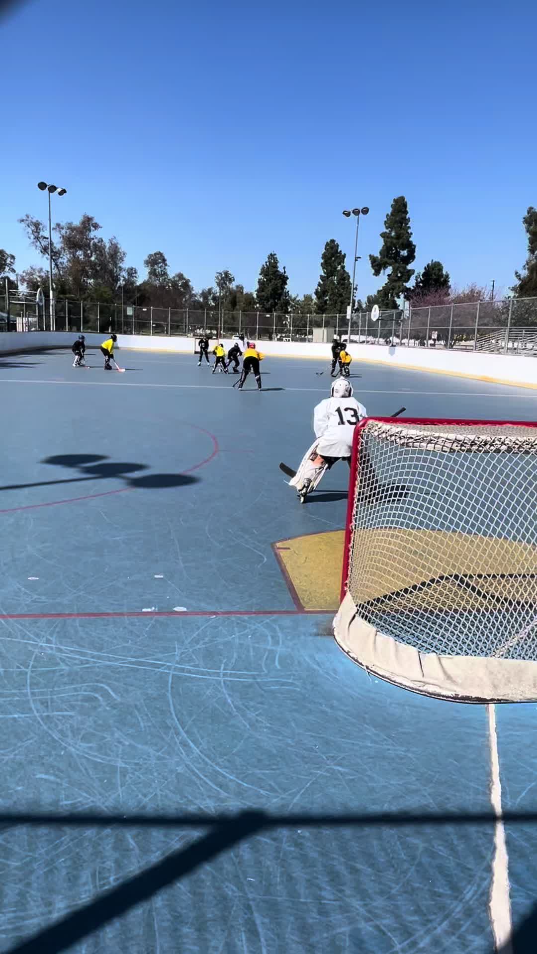 @TheCageHockey