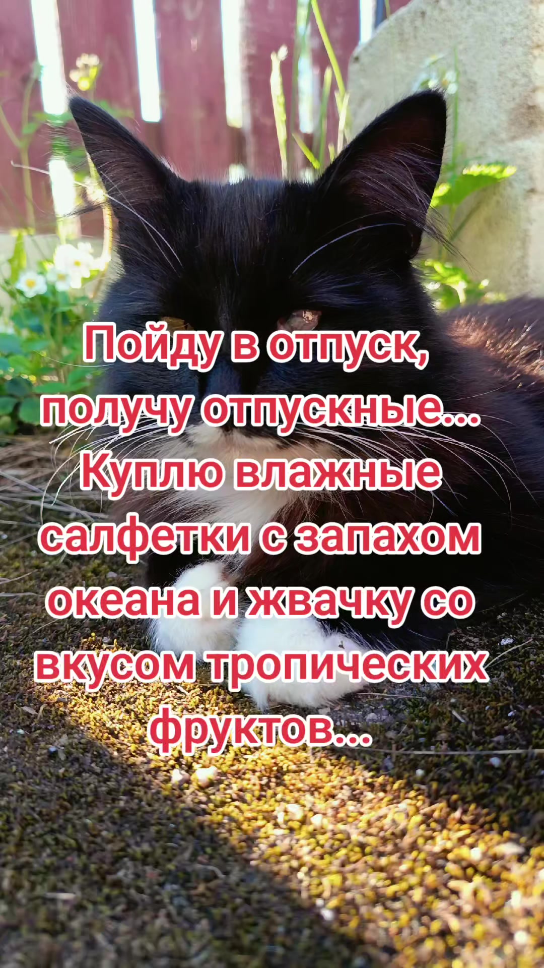 @Lesya Bronzova