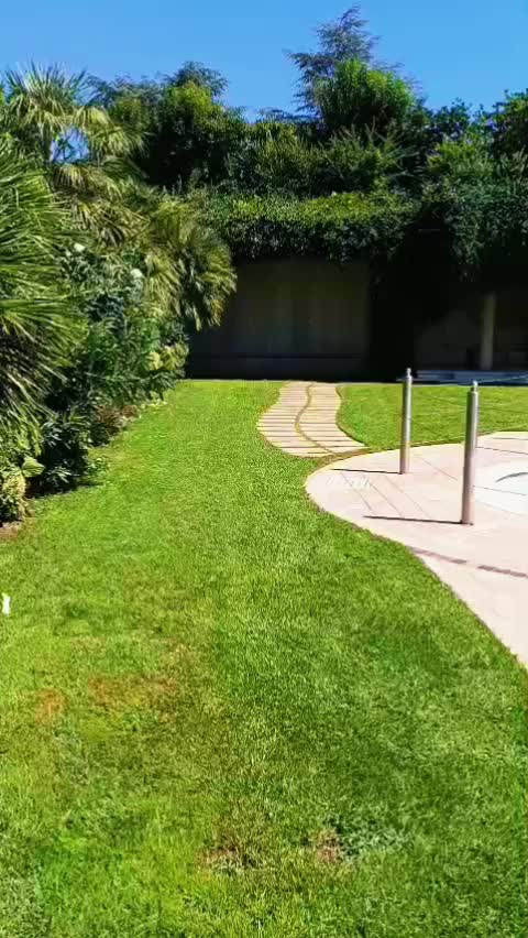 @ciratamburro