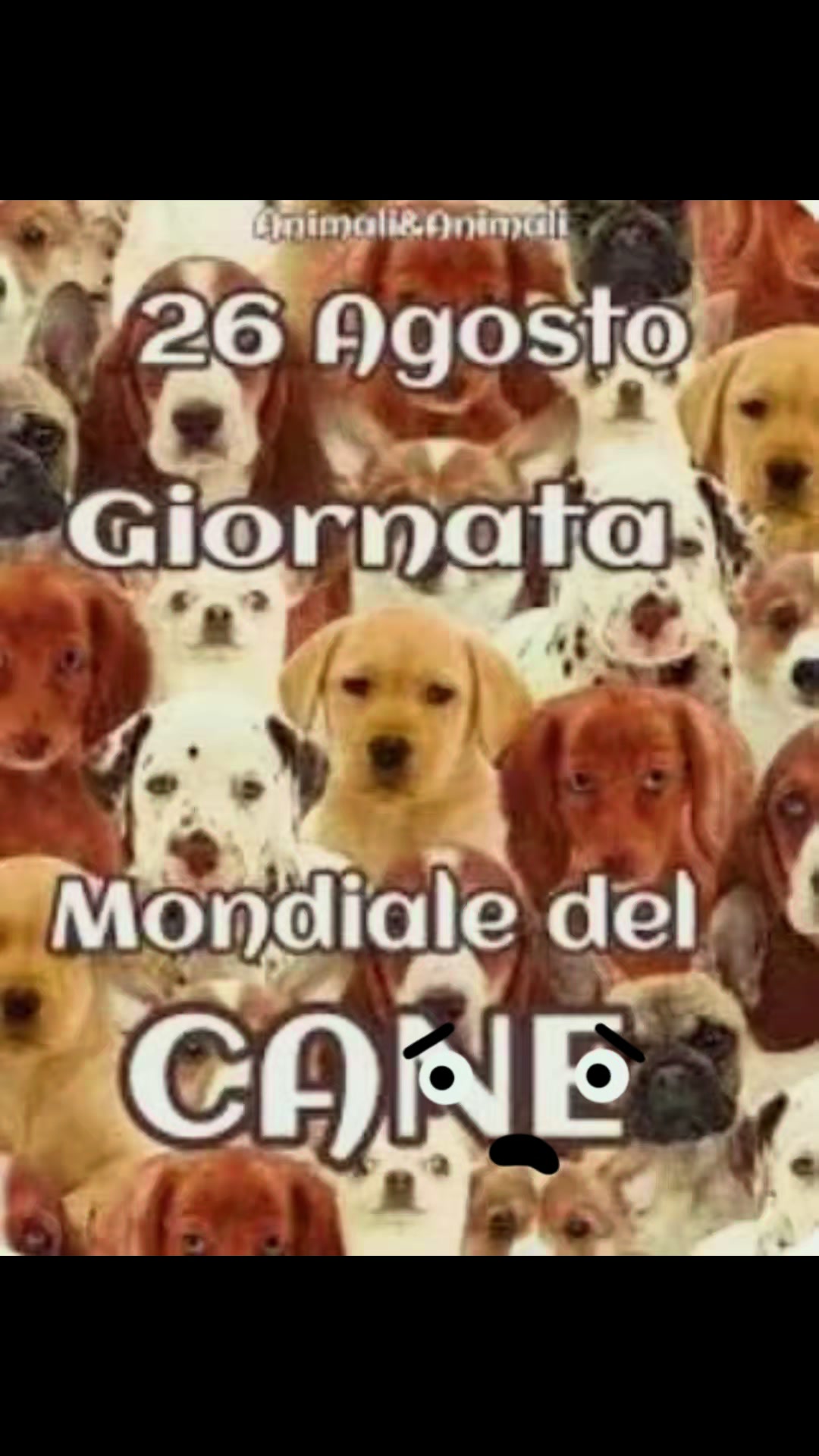 @Rosanna Autunno ❤️