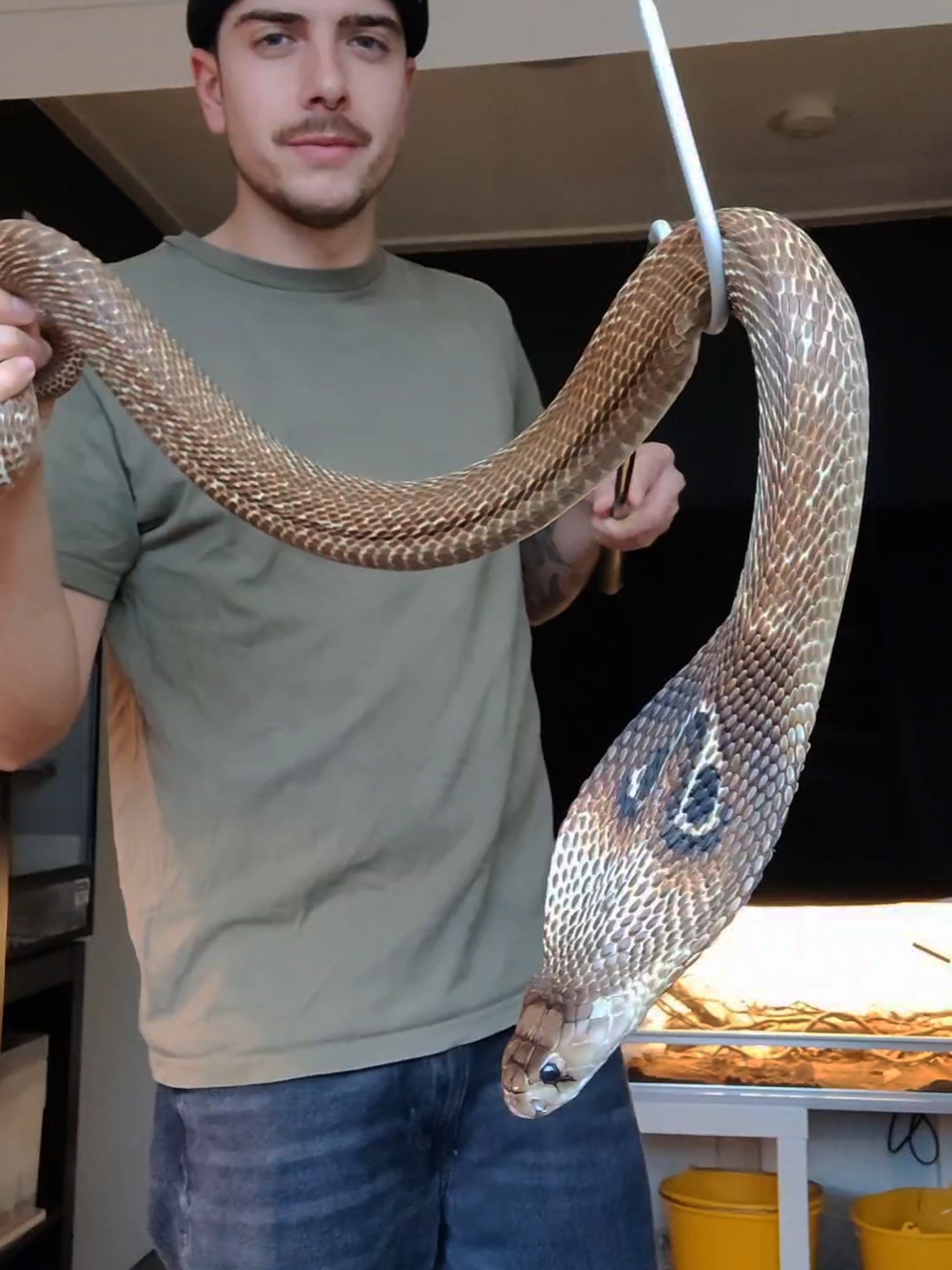 @Agkistrodonman