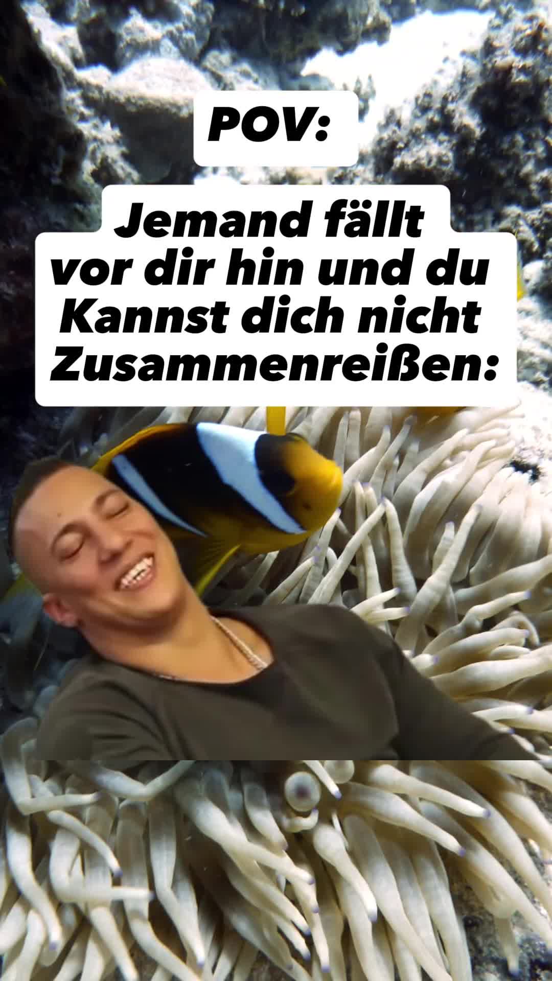 @Anni_robbe1089