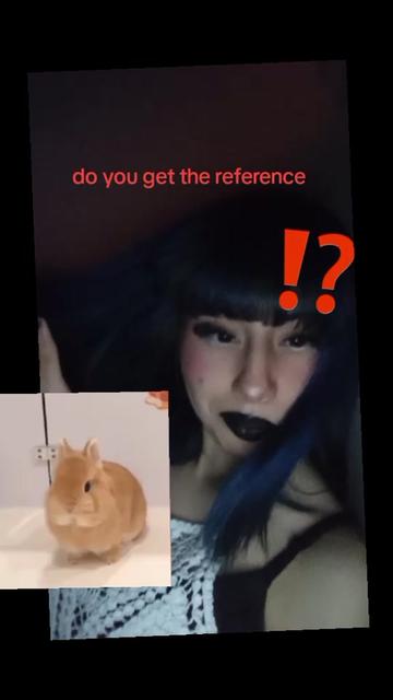 @Horrorkittyzz