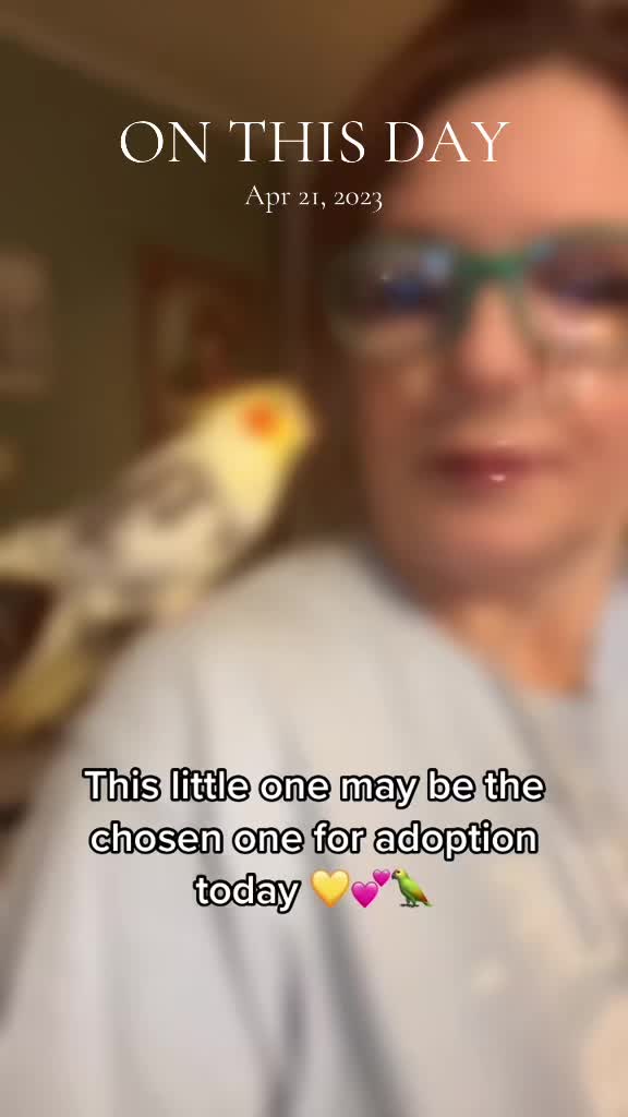 @CrystalParrot🦜💜🦜🍪🍨