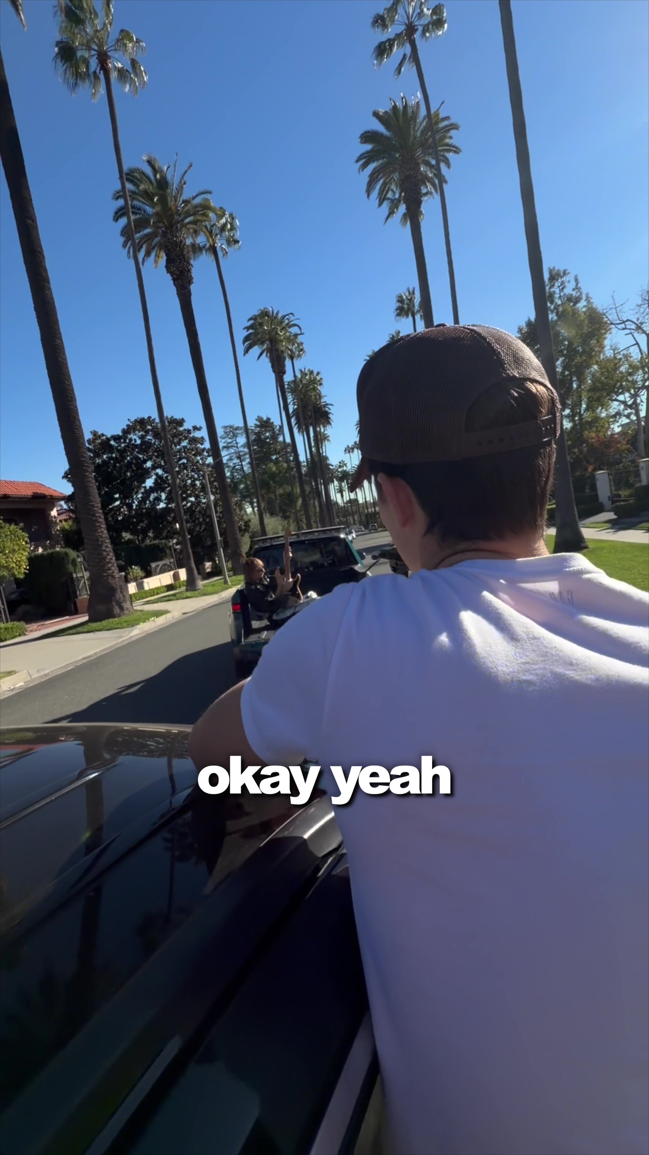 @SetWillFree