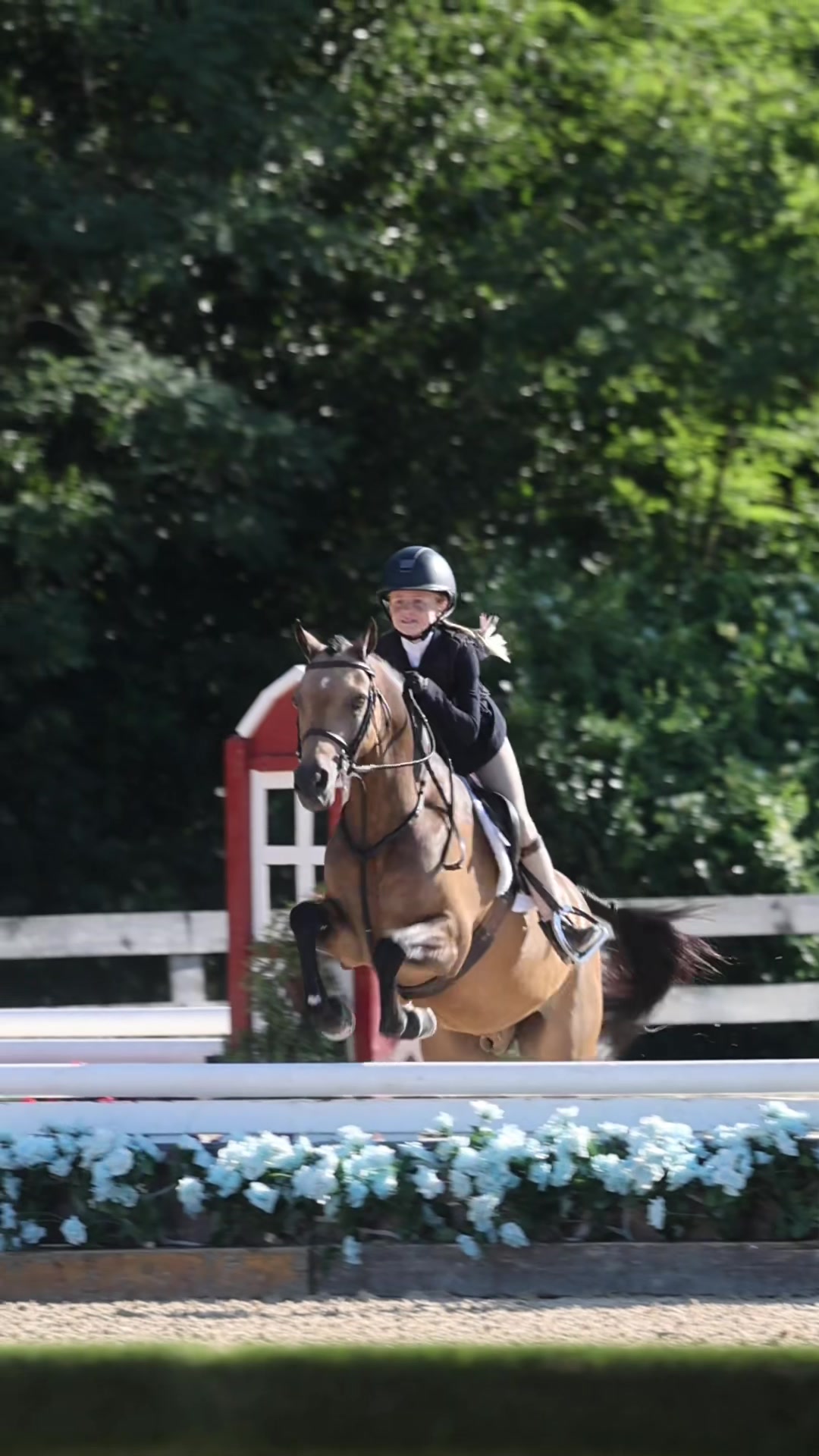 @ckponies