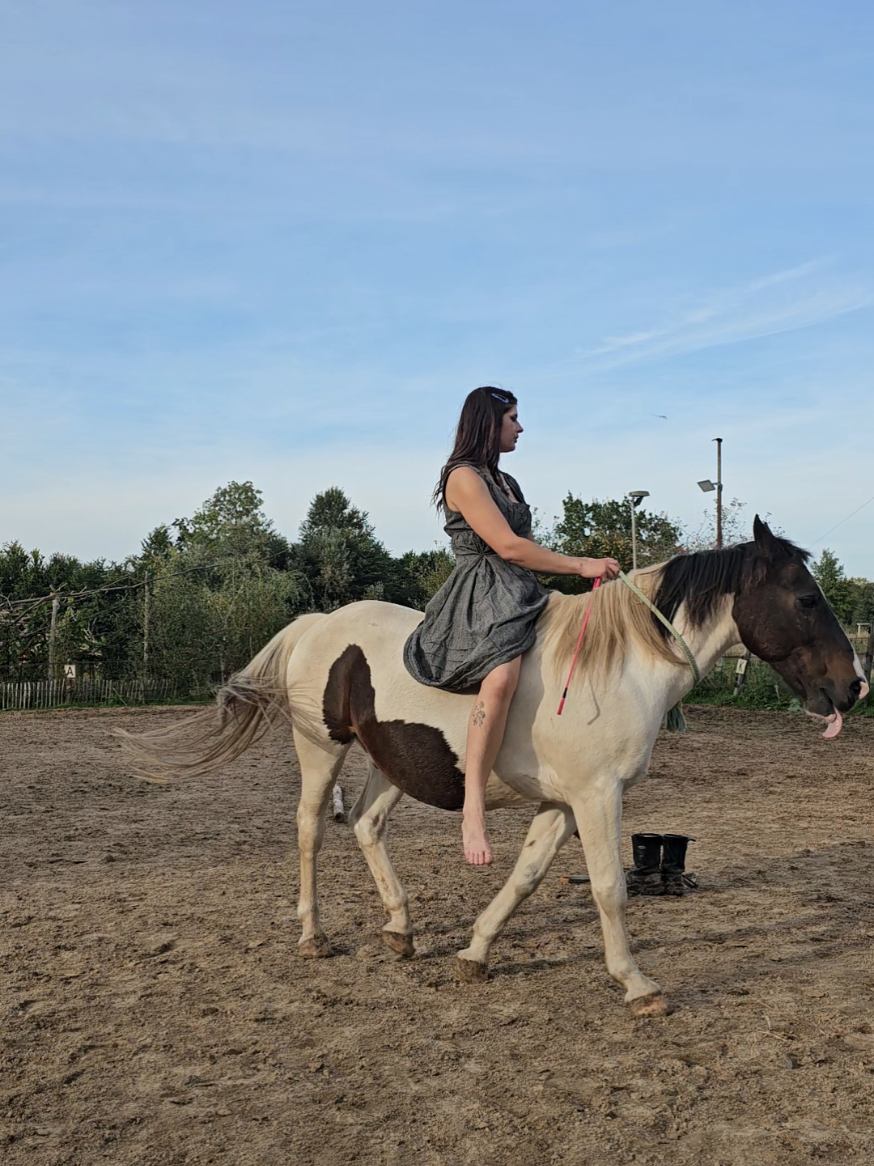 @Dino and horses