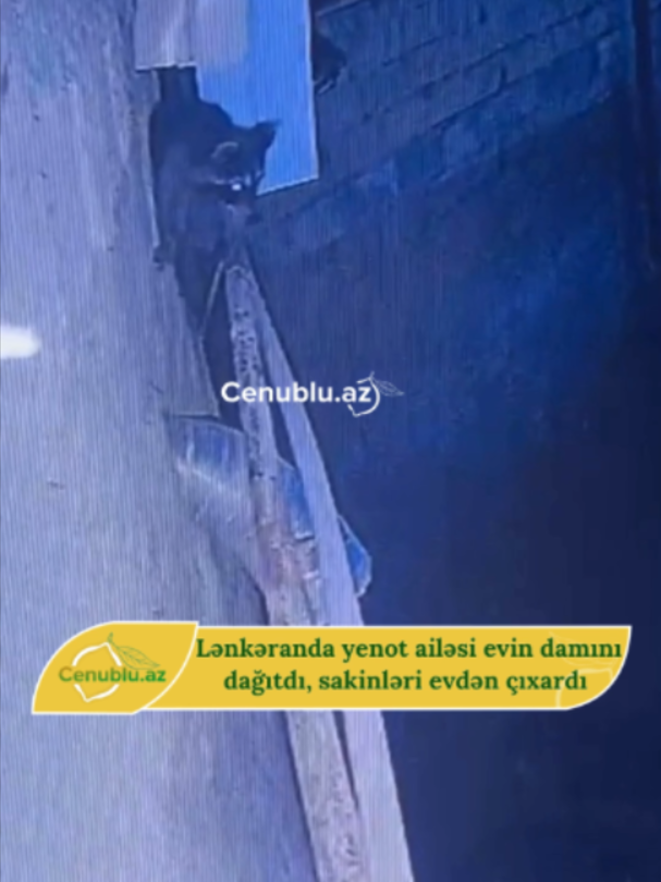 @Cenublu Az