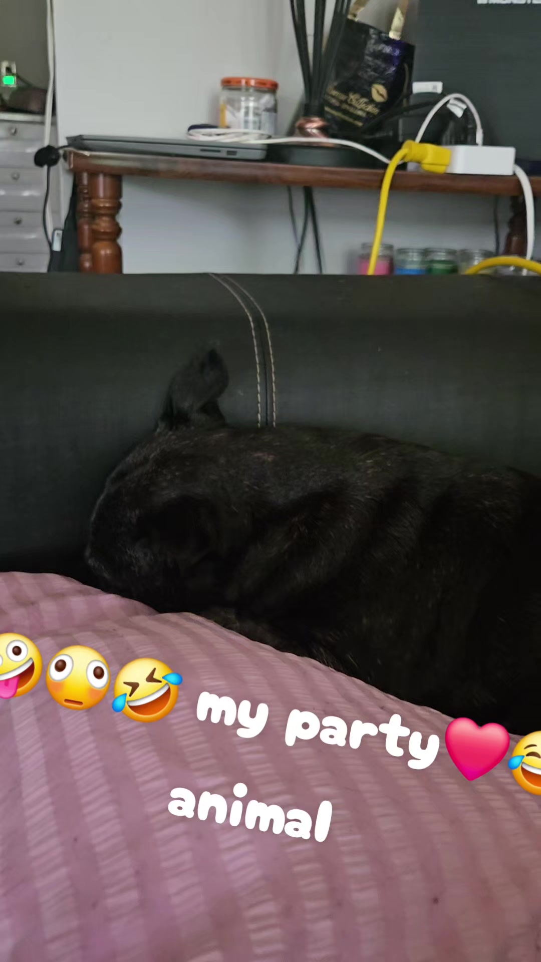 @leobtoto