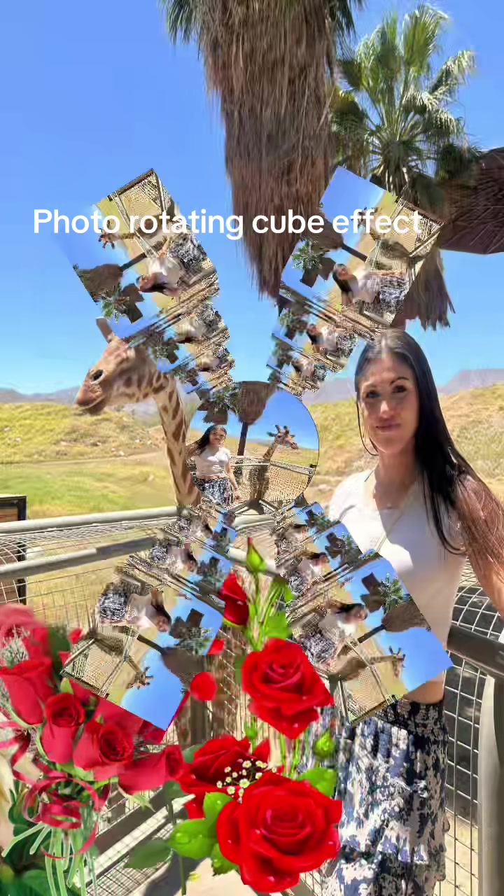 @success_sofistory