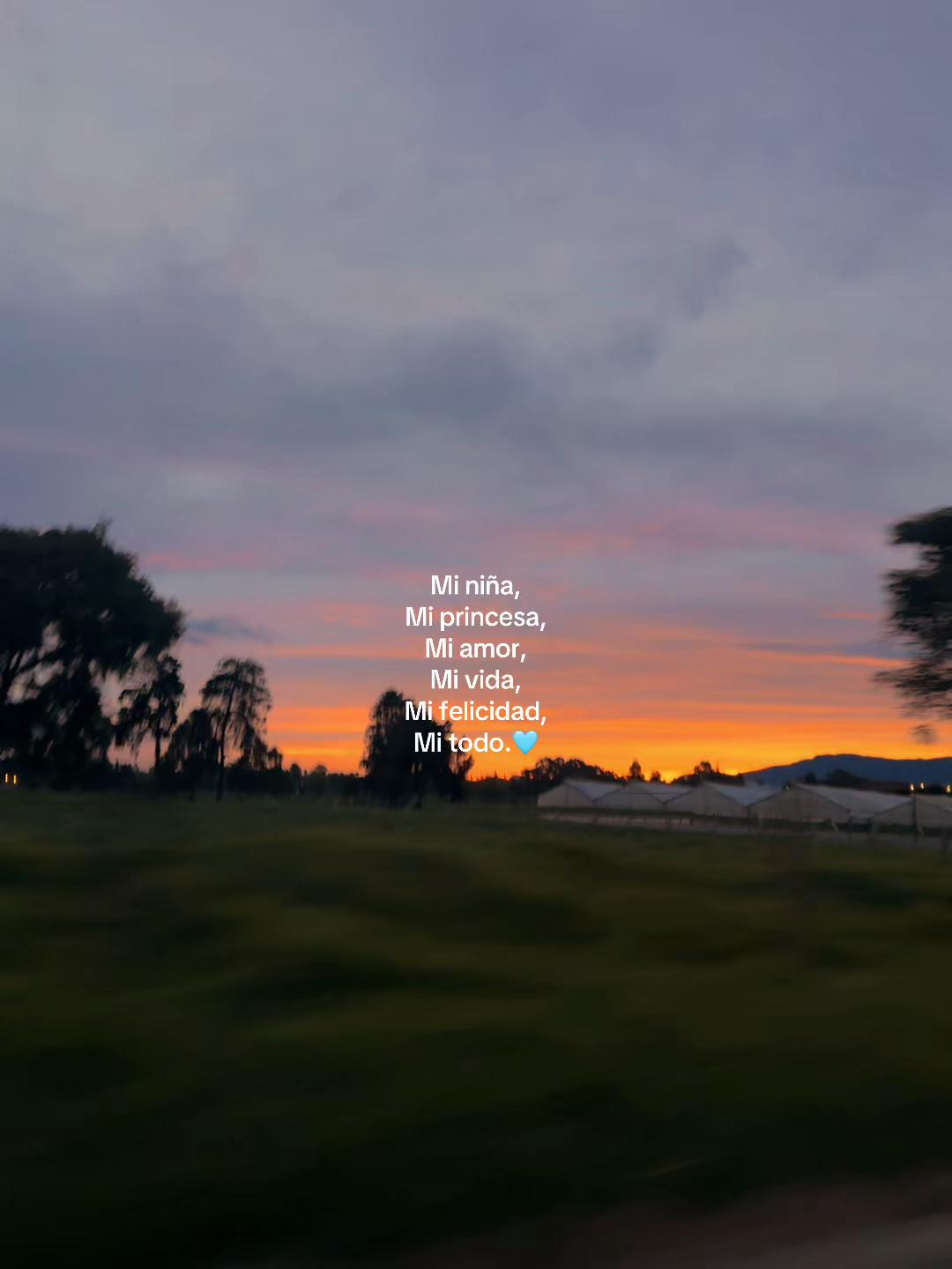 @Lui Jimenez