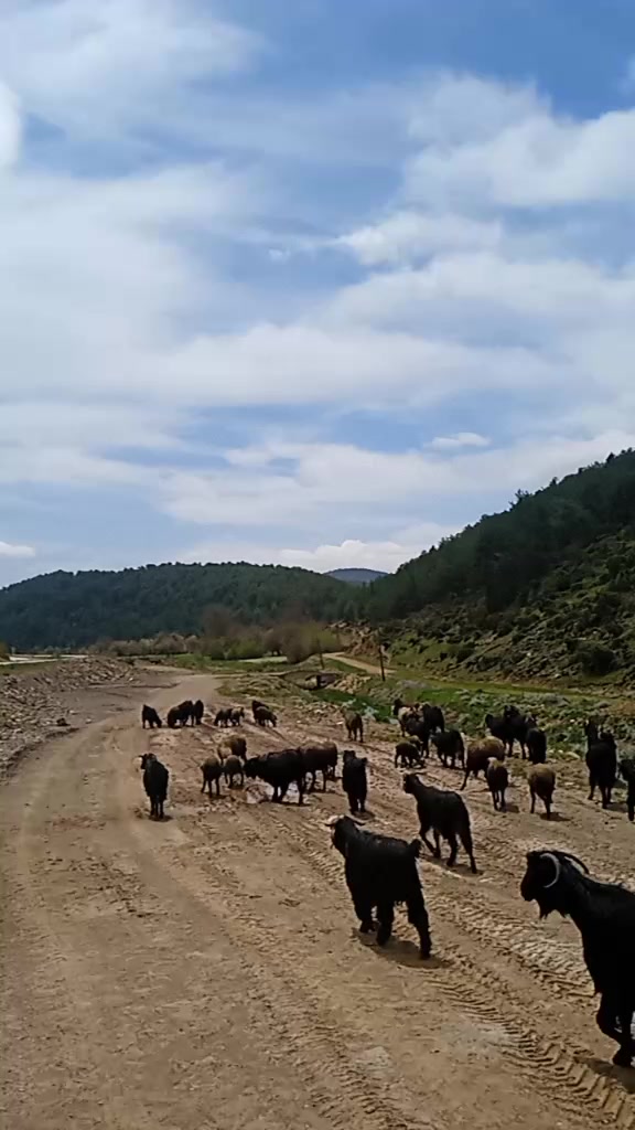 @Osman Eğilmez
